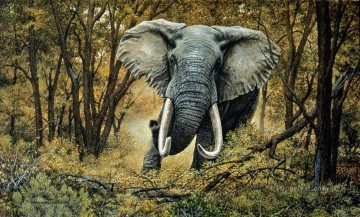 Animal Painting - burla de elefante